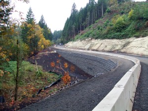 Northfork Landslide: After