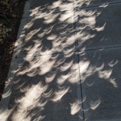 Half-suns on the sidewalk in Salem, OR. Credit: Victoria Strand