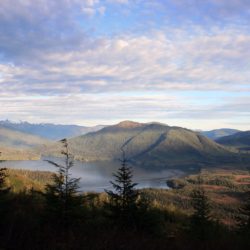 Wrangell Island